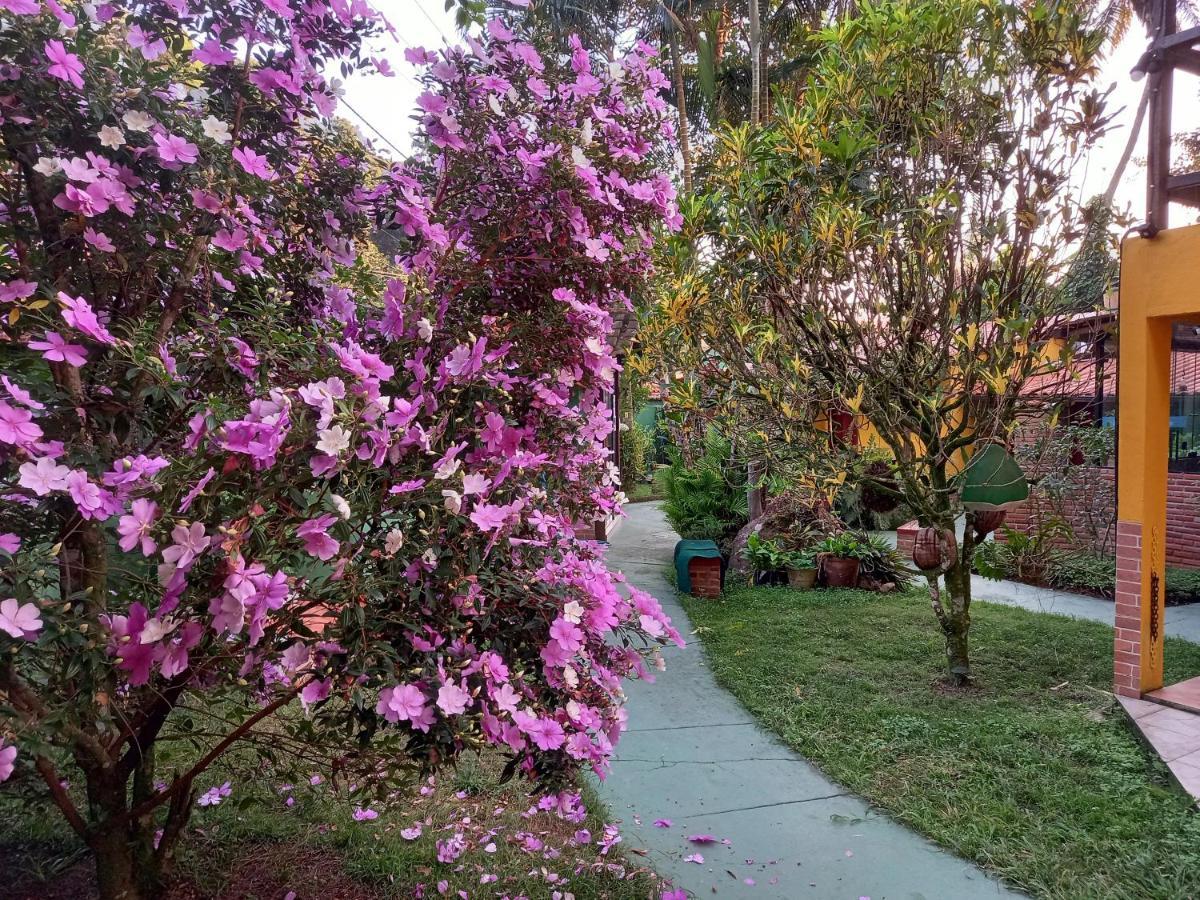 Recanto Das Flores Lofts - Ilha Grande Rj Екстер'єр фото