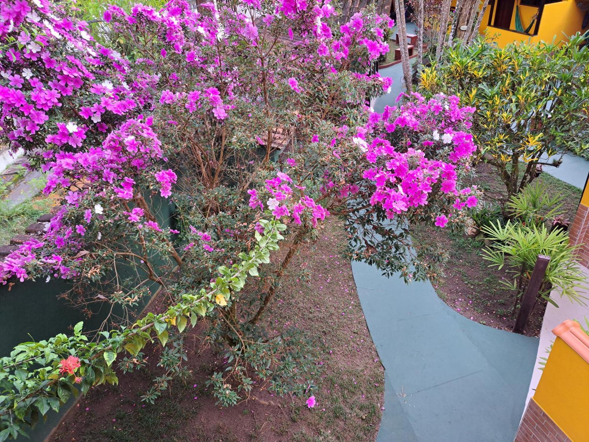 Recanto Das Flores Lofts - Ilha Grande Rj Екстер'єр фото